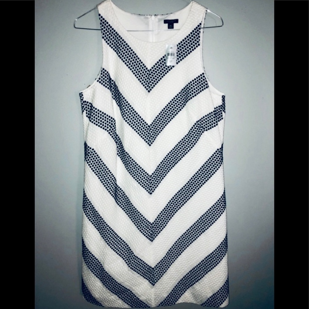 NWT Ann Taylor sleeveless Navy & White Shift Dress